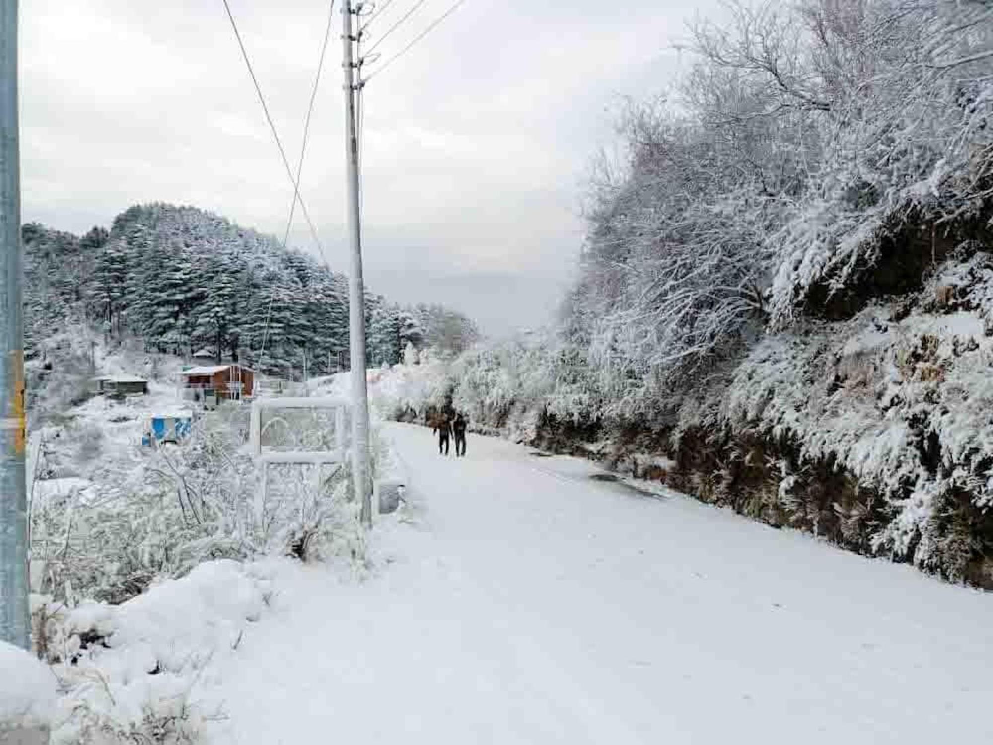 La Riqueza Kanatal #Mountain View Rooms # Near To Kodia Forest Jungle Saafari # 05 Mins From Adventure Activities Exterior foto